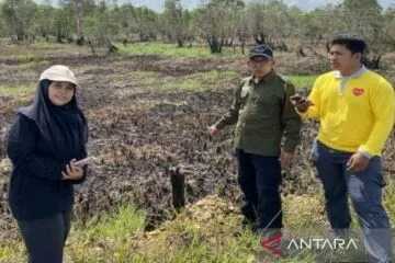 ULM-BRGM Kaji Akar Permasalahan Karhutla Berulang di Sekitar Bandara