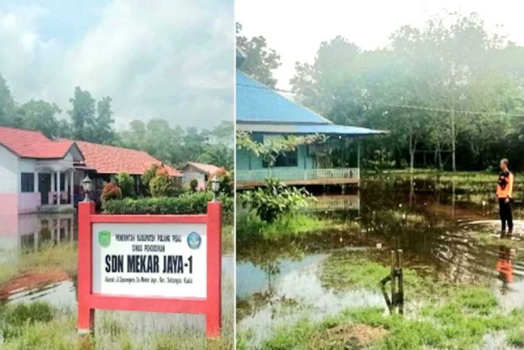 Lima Desa di Pulang Pisau Terendam Banjir