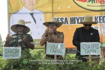 Pj Bupati Tapin Dorong Petani Cabai Hiyung Perluas Pengembangan Komoditas