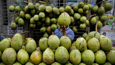 7 Waktu Terbaik Minum Air Kelapa agar Sehat di 2025