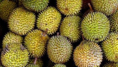 Vietnam Kalahkan RI, Jadi Raja Duren Asia