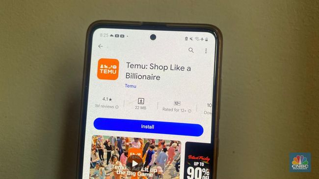 Cuma Punya 8 Karyawan, Raja E-commerce Temu Bisa Untung Rp 1,9 Triliun