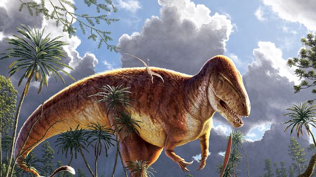 Ilmuwan Temukan Banyak Jejak Kaki Dinosaurus di Bokivia