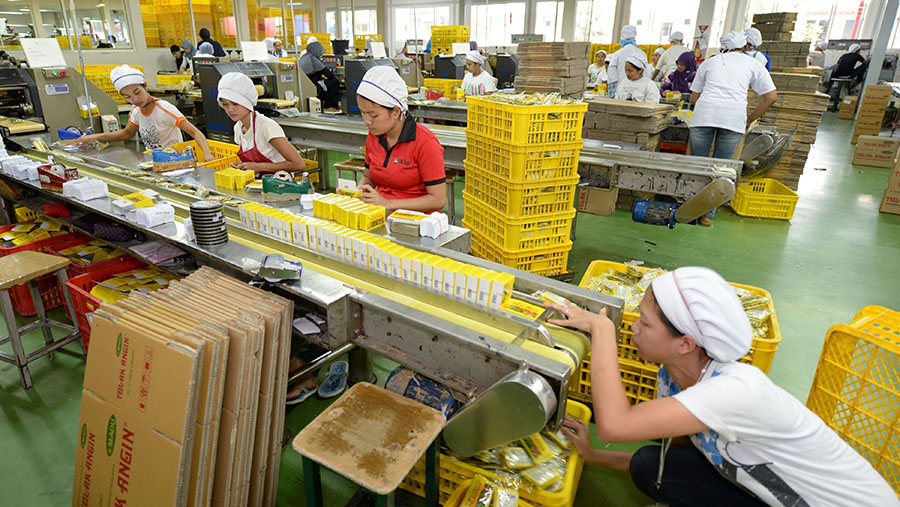 Investor Siap Cuan, Sido Muncul (SIDO) Bayar Dividen Rp441,52 Miliar