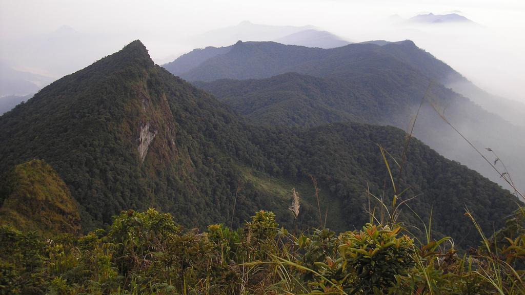 Pemkab HST : Belum Ada Keputusan Resmi Penutupan Permanen Gunung Halau-Halau