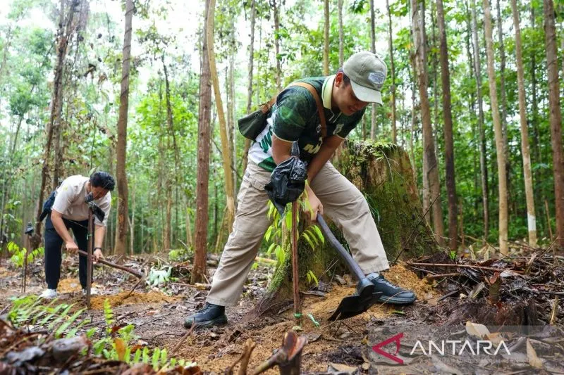 Otorita IKN Ajak Pengunjung Tinggalkan Jejak Hijau