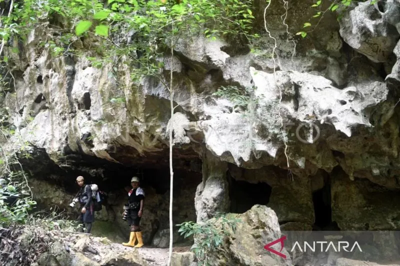 Kaltim Persiapkan Kars Sangkulirang-Mangkalihat Jadi Geopark Dunia