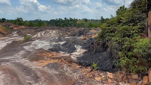 Tambang Ilegal di Sekitar IKN Terbongkar