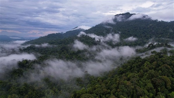 Gunung Liangpran, Gunung Eksotis di Jantung Kalimantan